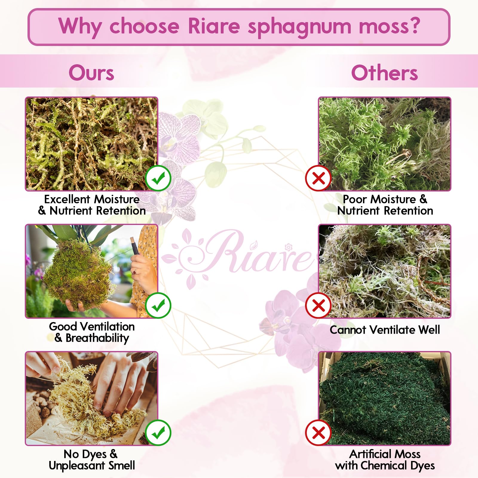 Riare moss terrarium use as substrate and incubation medium