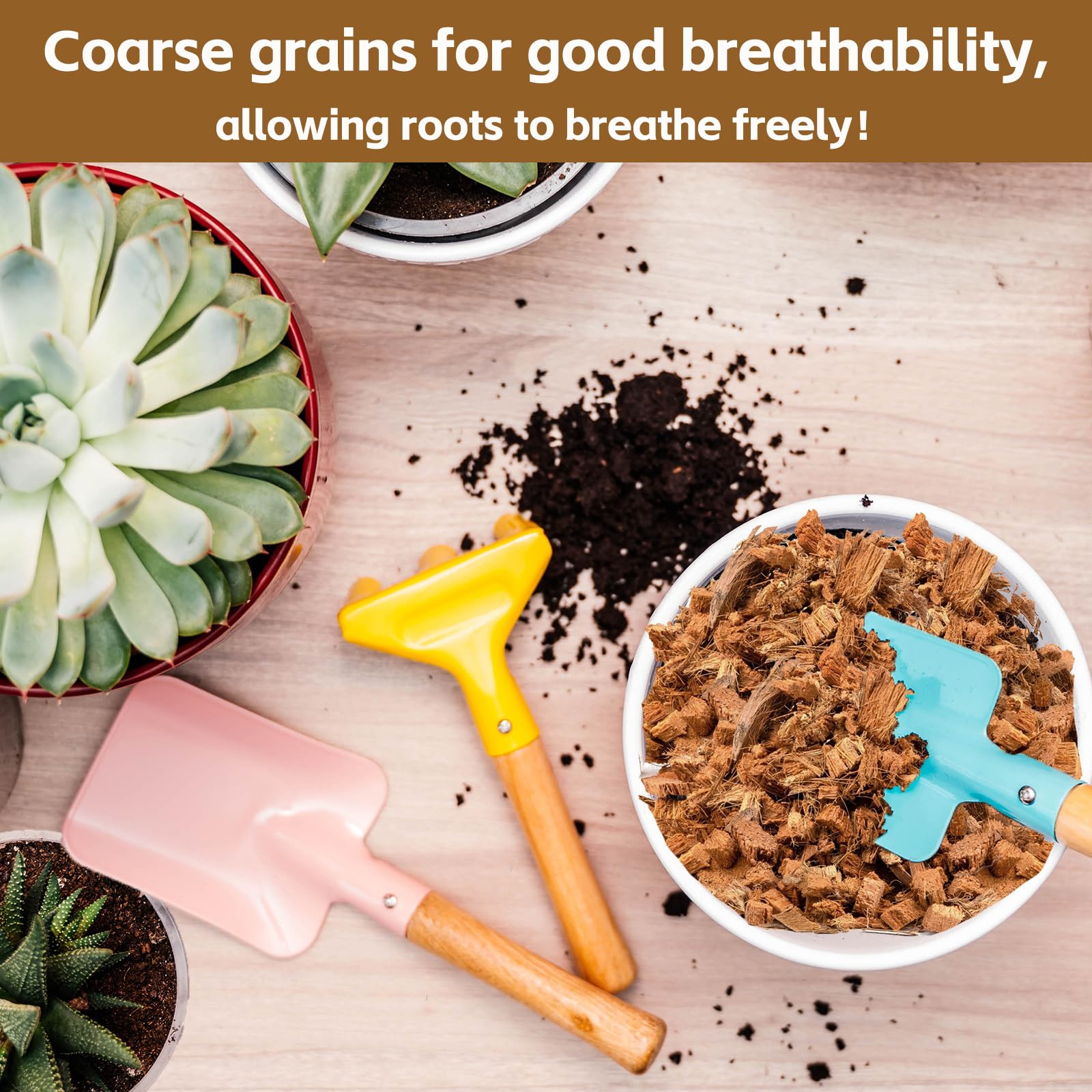 Riare coco chips used as mulch around indoor and outdoor plants