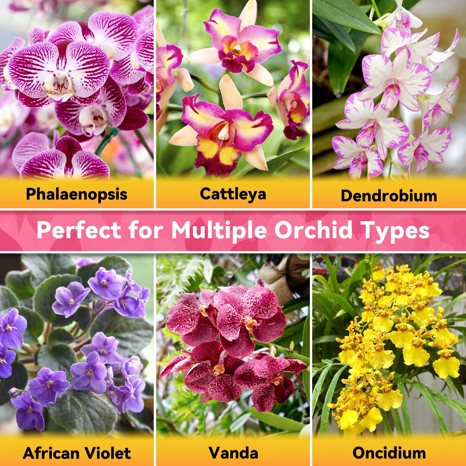 Riare multi-purpose media suits Phalaenopsis, Dendrobium, and other epiphytic orchids.