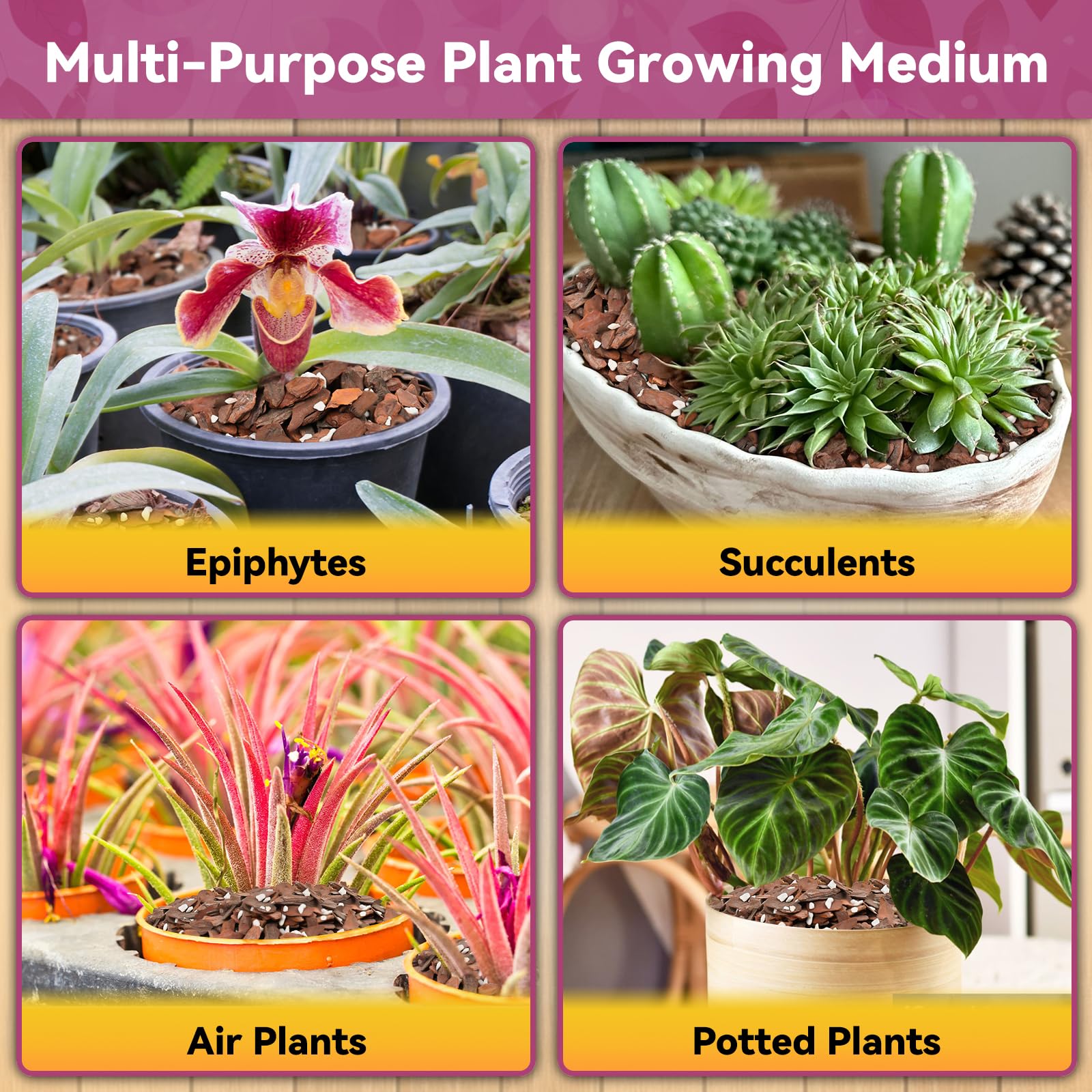Riare multi-purpose orchid media suits many epiphytic plants.