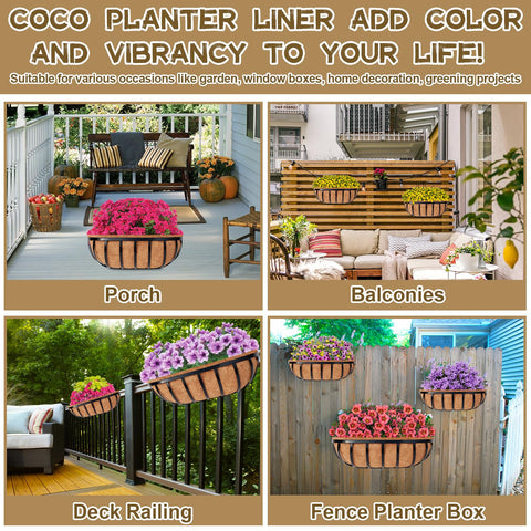Riare liner used for germination and decorative balcony or garden setup.