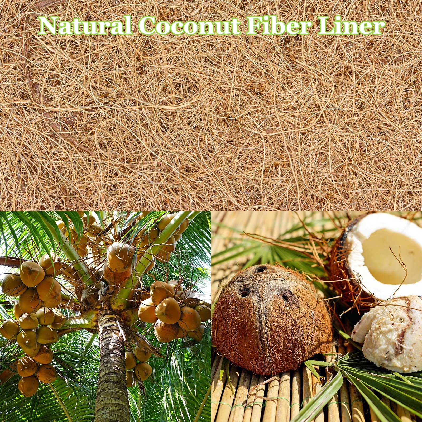 Riare natural coconut coir liner for baskets enhances drainage and aeration.