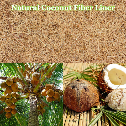 Riare natural coconut coir liner for baskets enhances drainage and aeration.