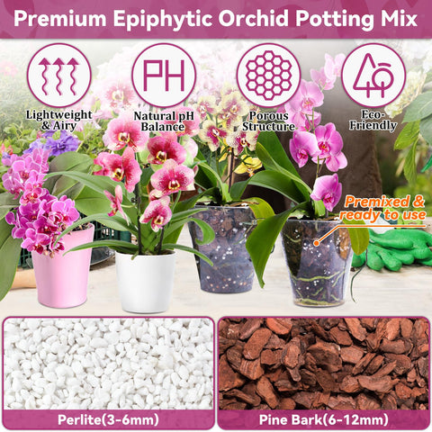 Riare orchid bark-perlite texture enhances aeration for roots.