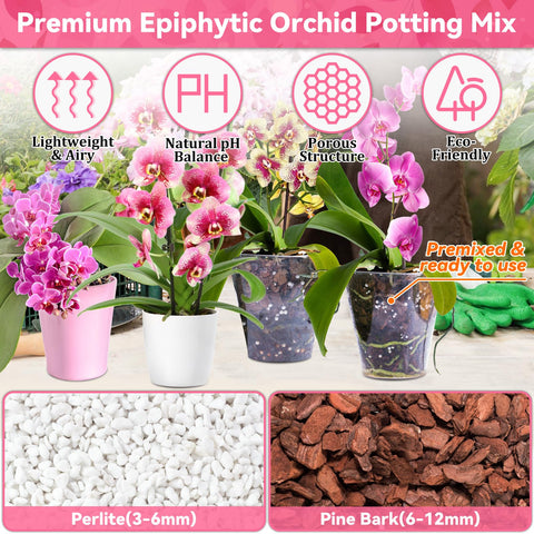 Riare orchid mix's porous structure enhances aeration, helping Phalaenopsis roots breathe.