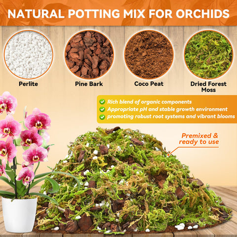 Riare Orchid Mix repotting contents close-up for healthy root growth.