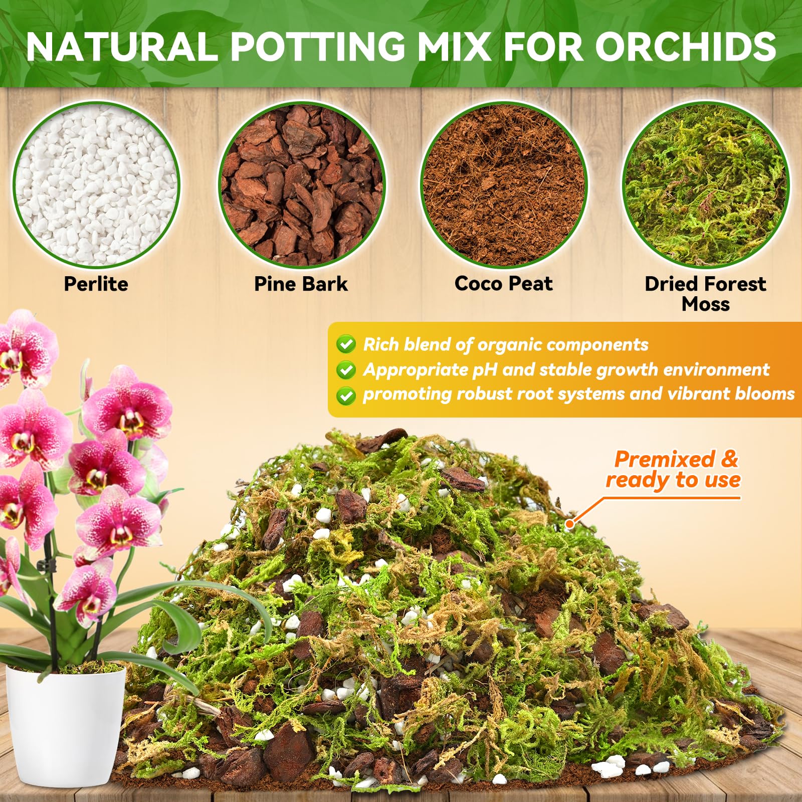 Riare orchid mix texture close-up highlighting aeration and moisture balance.