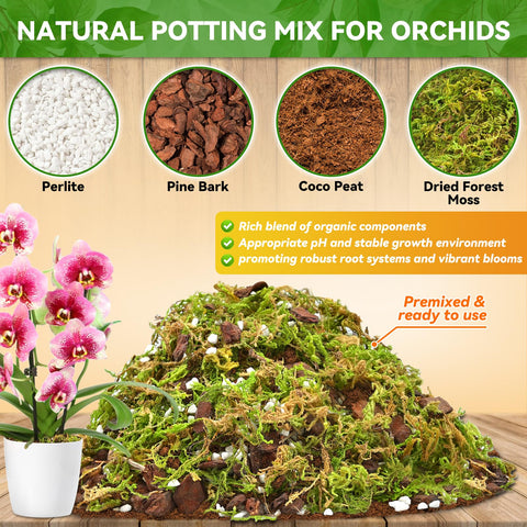 Riare orchid mix texture close-up highlighting aeration and moisture balance.