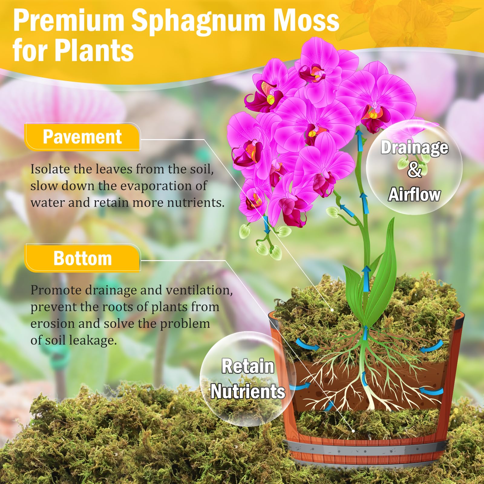 Riare orchid moss for repotting provides soft, breathable roots