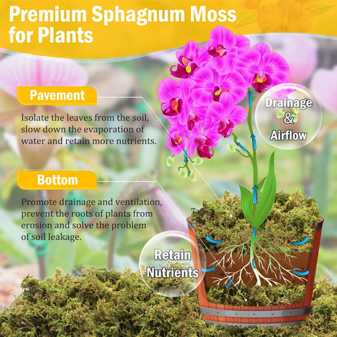Riare orchid moss for repotting provides soft, breathable roots