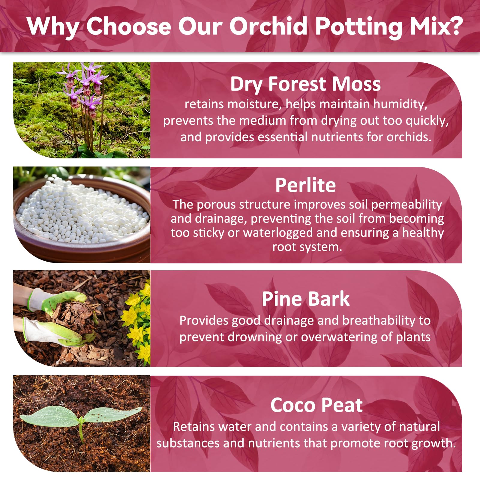 Riare orchid potting mix bark texture enhances aeration around orchid roots