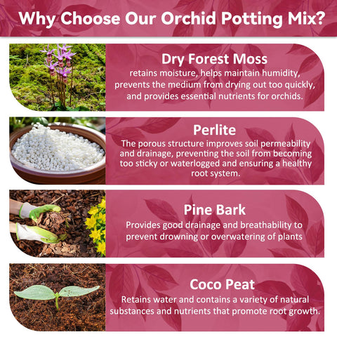 Riare orchid potting mix bark texture enhances aeration around orchid roots
