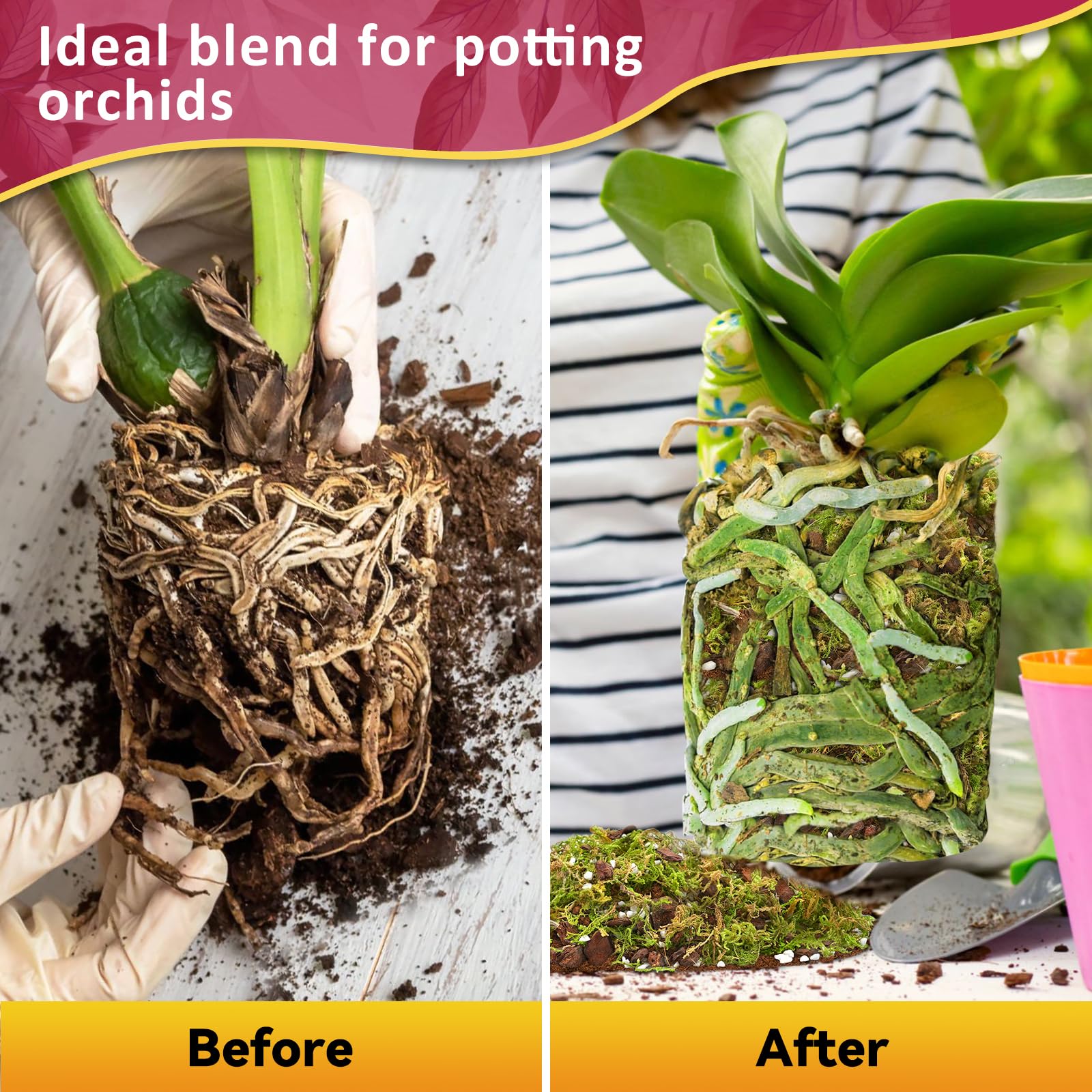 Riare orchid potting mix coco peat adds natural nutrients for steady growth