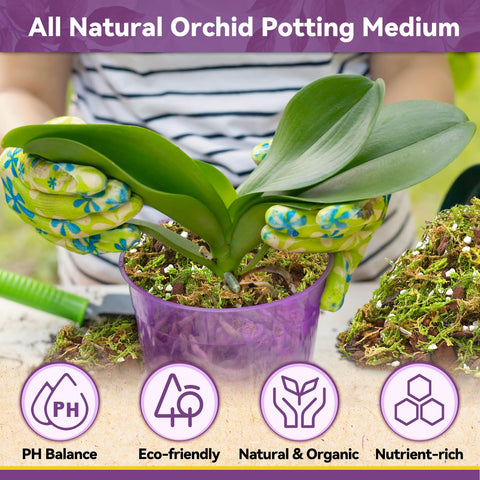 Riare orchid potting mix ideal for epiphytic orchids indoors