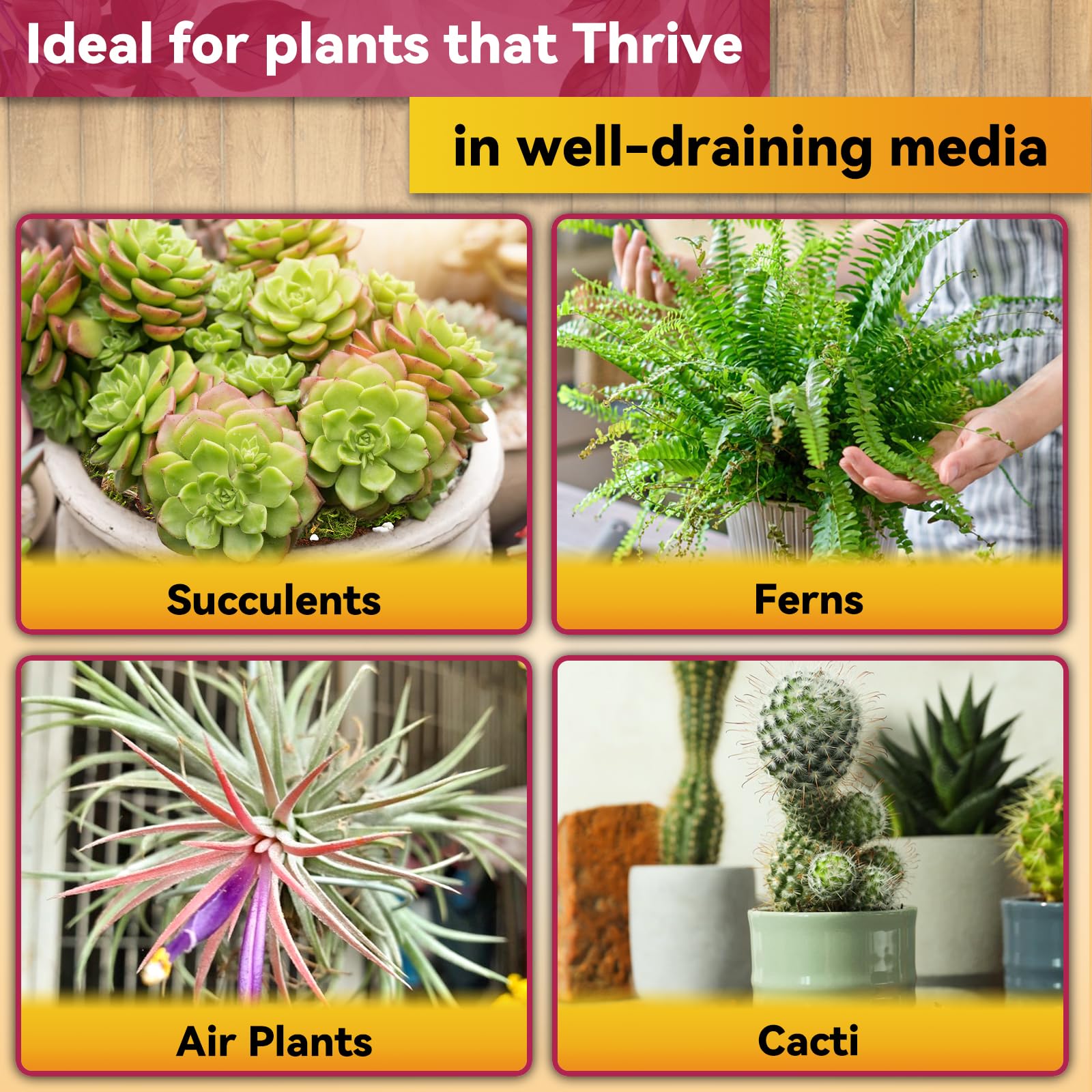 Riare orchid potting mix for indoor plants suits orchids and moisture-loving varieties