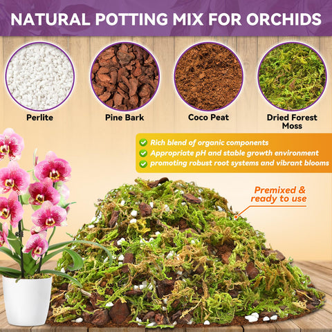 Riare orchid potting mix moss and bark blend supports moisture balance