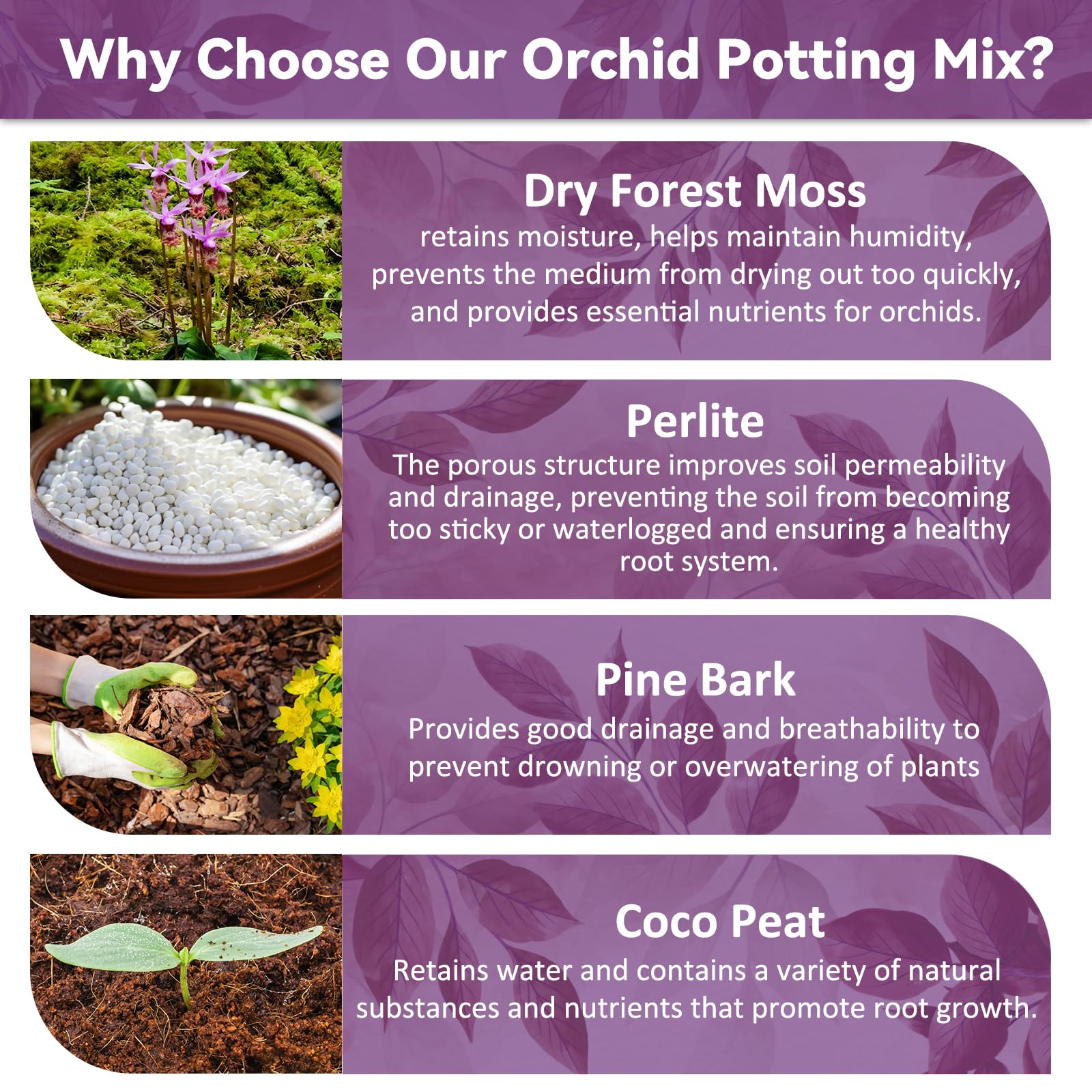 Riare orchid potting mix with perlite and coco peat ensures drainage