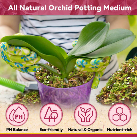 Riare orchid potting mix perlite grains improve drainage and root breathing
