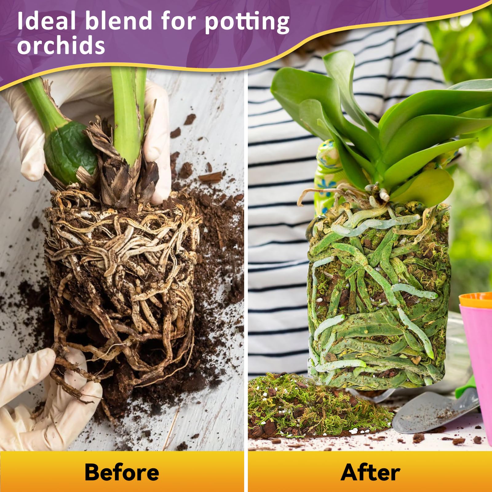 Riare orchid potting mix resealable bag keeps medium fresh closeup