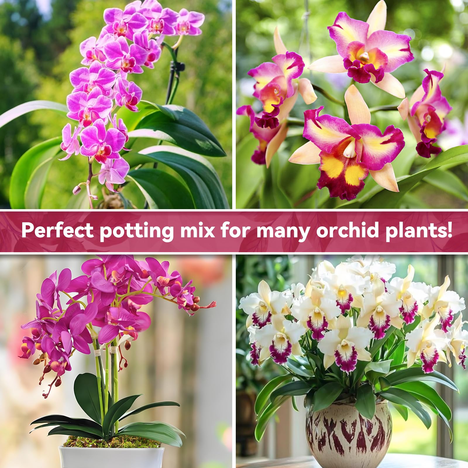 Riare orchid potting mix resealable bag keeps leftover mix fresh and ready