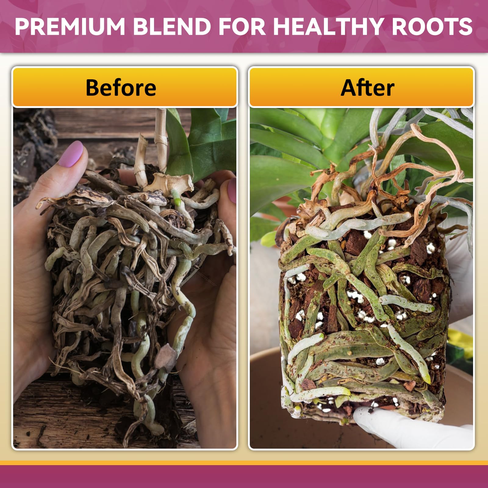 Riare orchid repotting kit supports easy care routines.