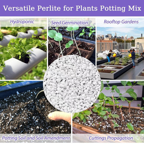 Riare perlite aids orchids and tropical plants with airy media
