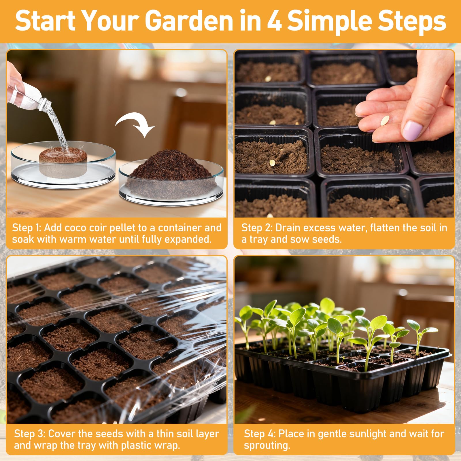 Riare coco coir pellet in-pot transplant shows simple relocation without disturbing media.