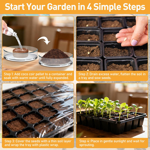 Riare coco coir pellet in-pot transplant shows simple relocation without disturbing media.