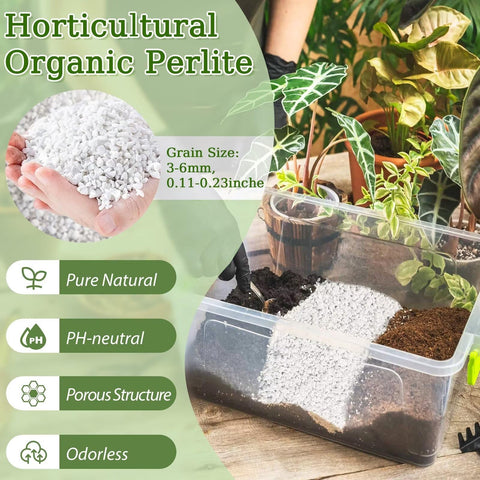 Riare horticultural perlite coarse particles improve drainage and prevent soil compaction.