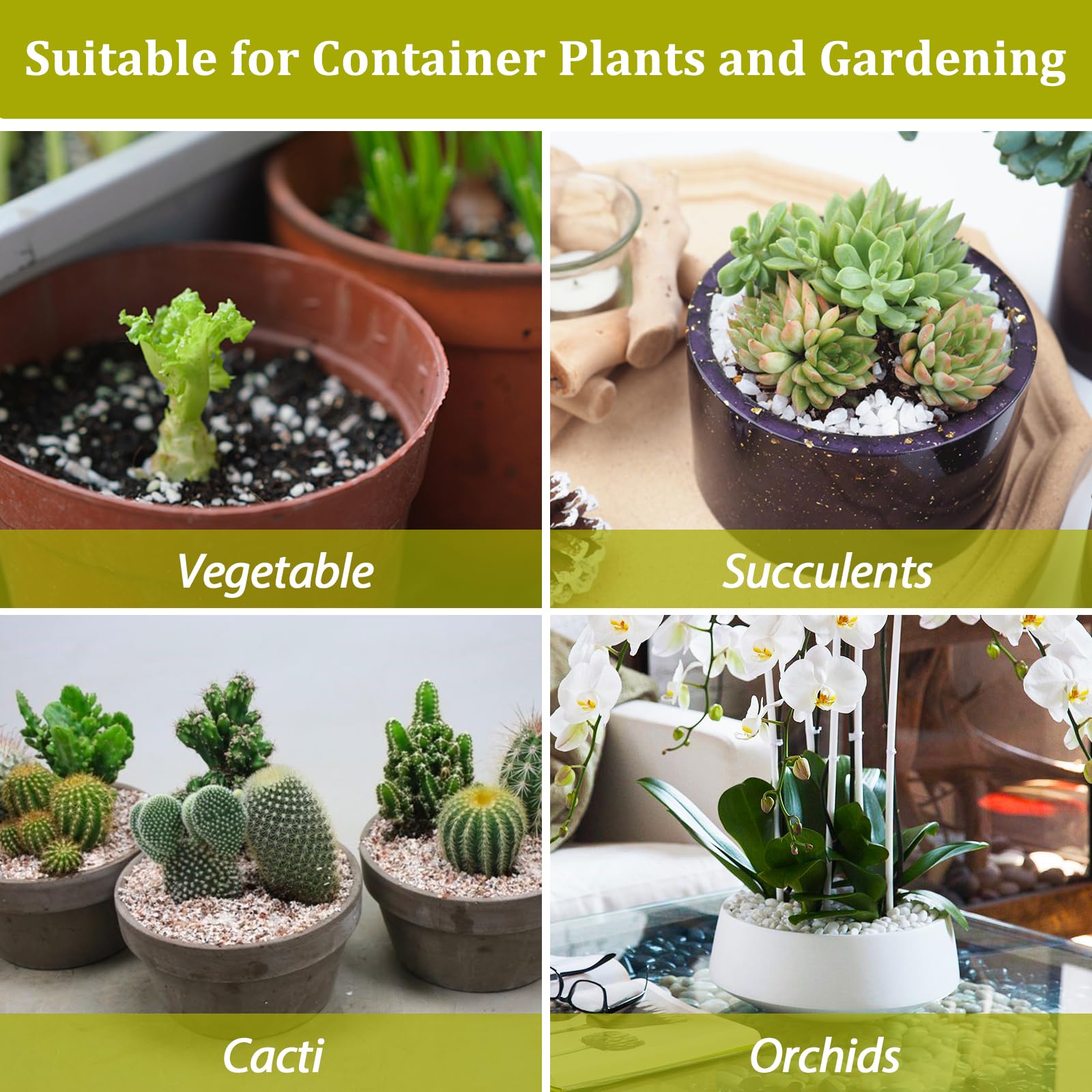 Riare perlite container gardening maintains loose, well-drained soil.