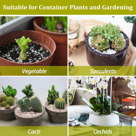Riare perlite container gardening maintains loose, well-drained soil.