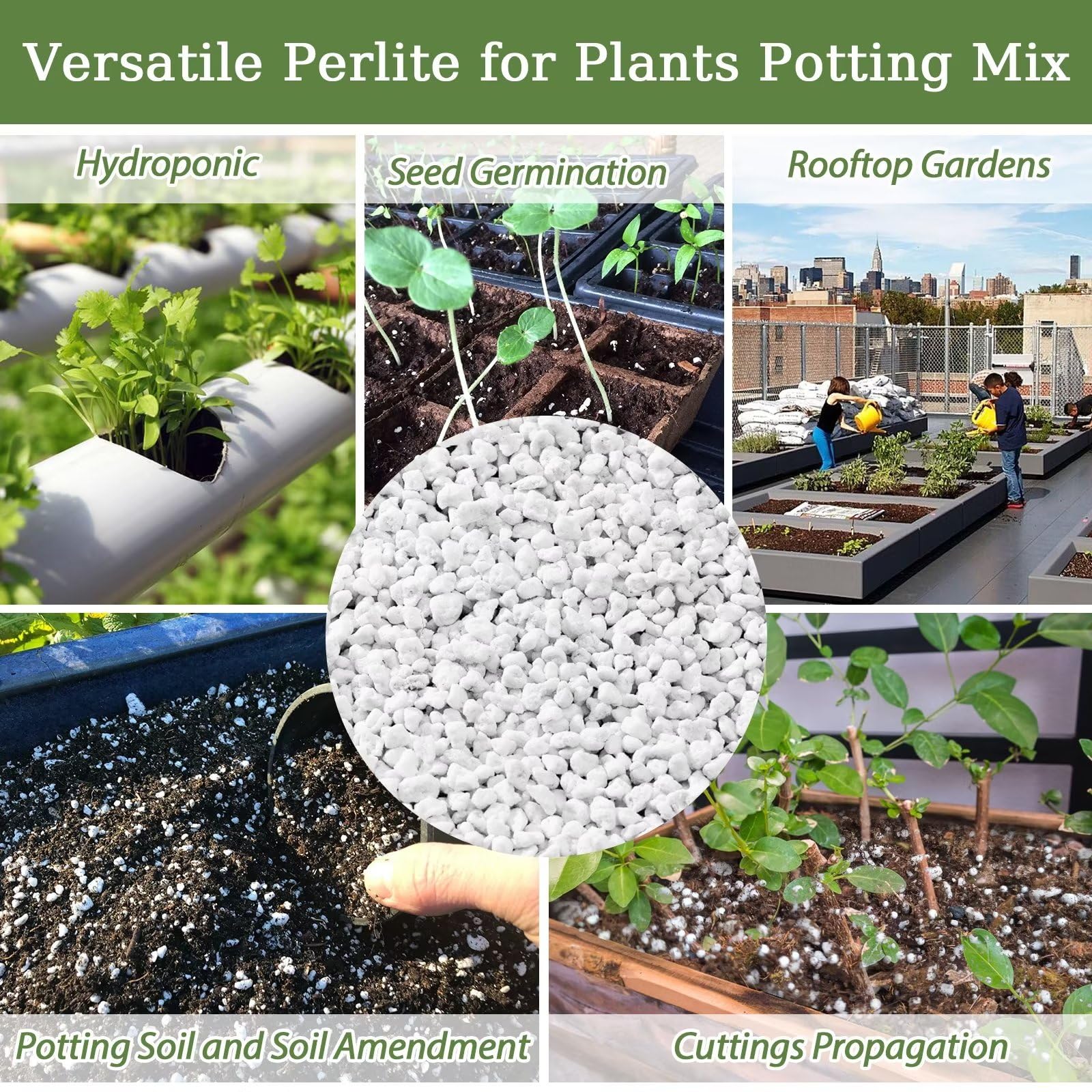 Riare perlite container gardening soil conditioner for vibrant plants.