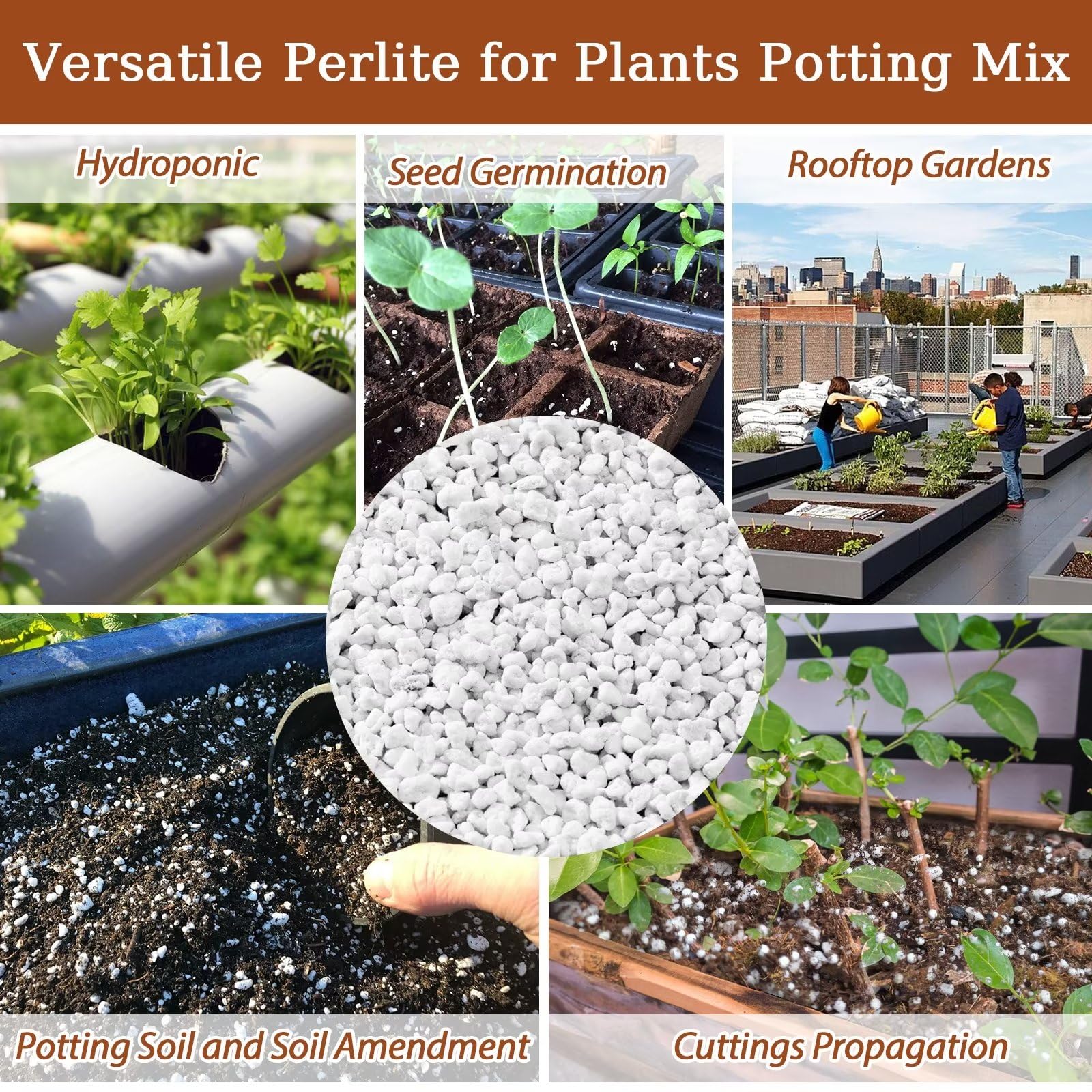 Riare perlite layer enhances drainage and ventilation in pots.