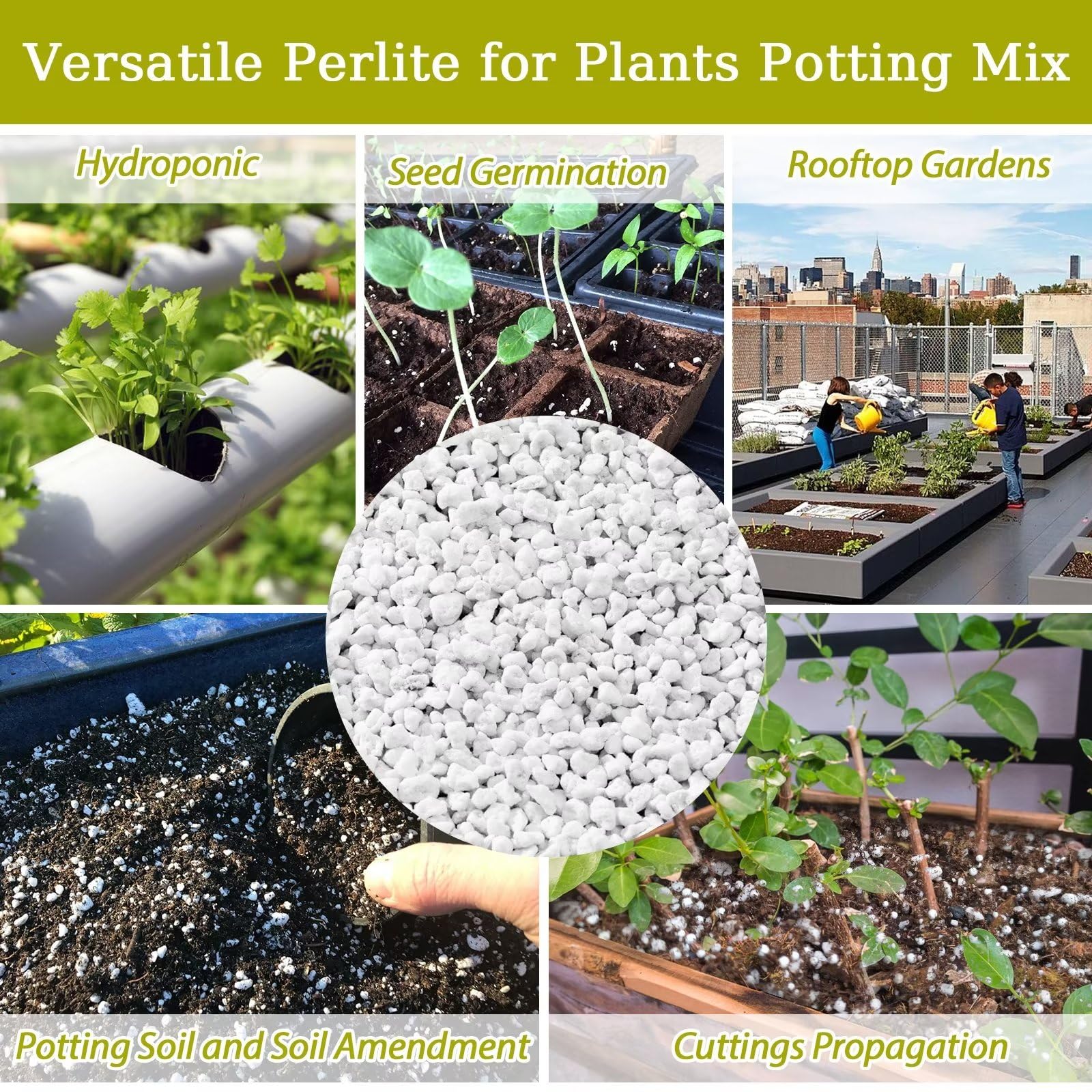 Riare perlite orchids and tropical plants thrive with balanced moisture and airflow.