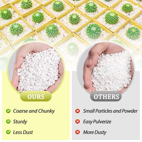 Riare perlite root growth support enables air and water movement.