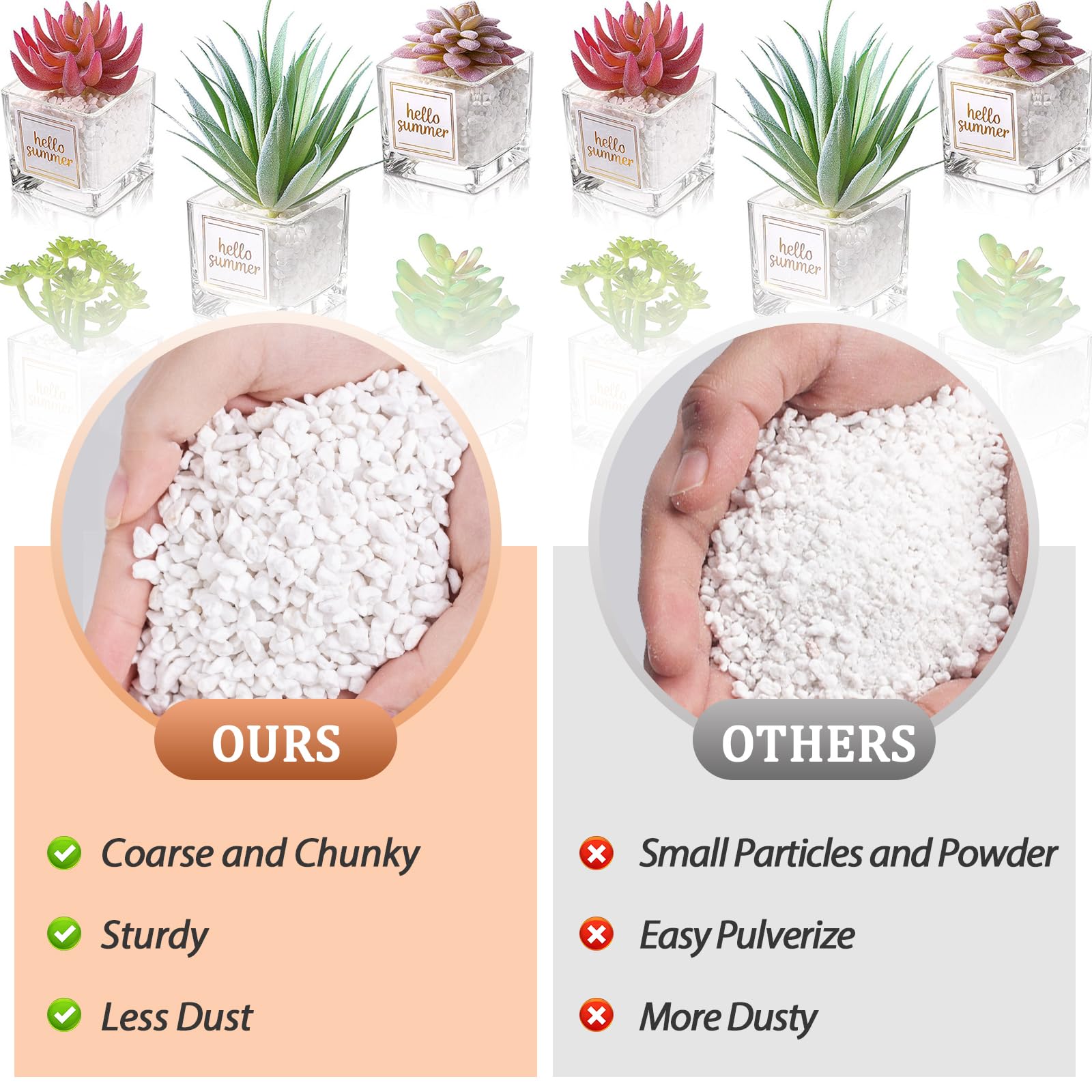Riare perlite in seedling tray illustrates improved air space.