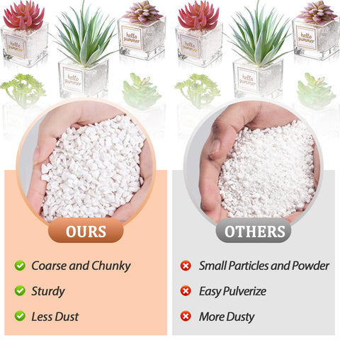 Riare perlite in seedling tray illustrates improved air space.
