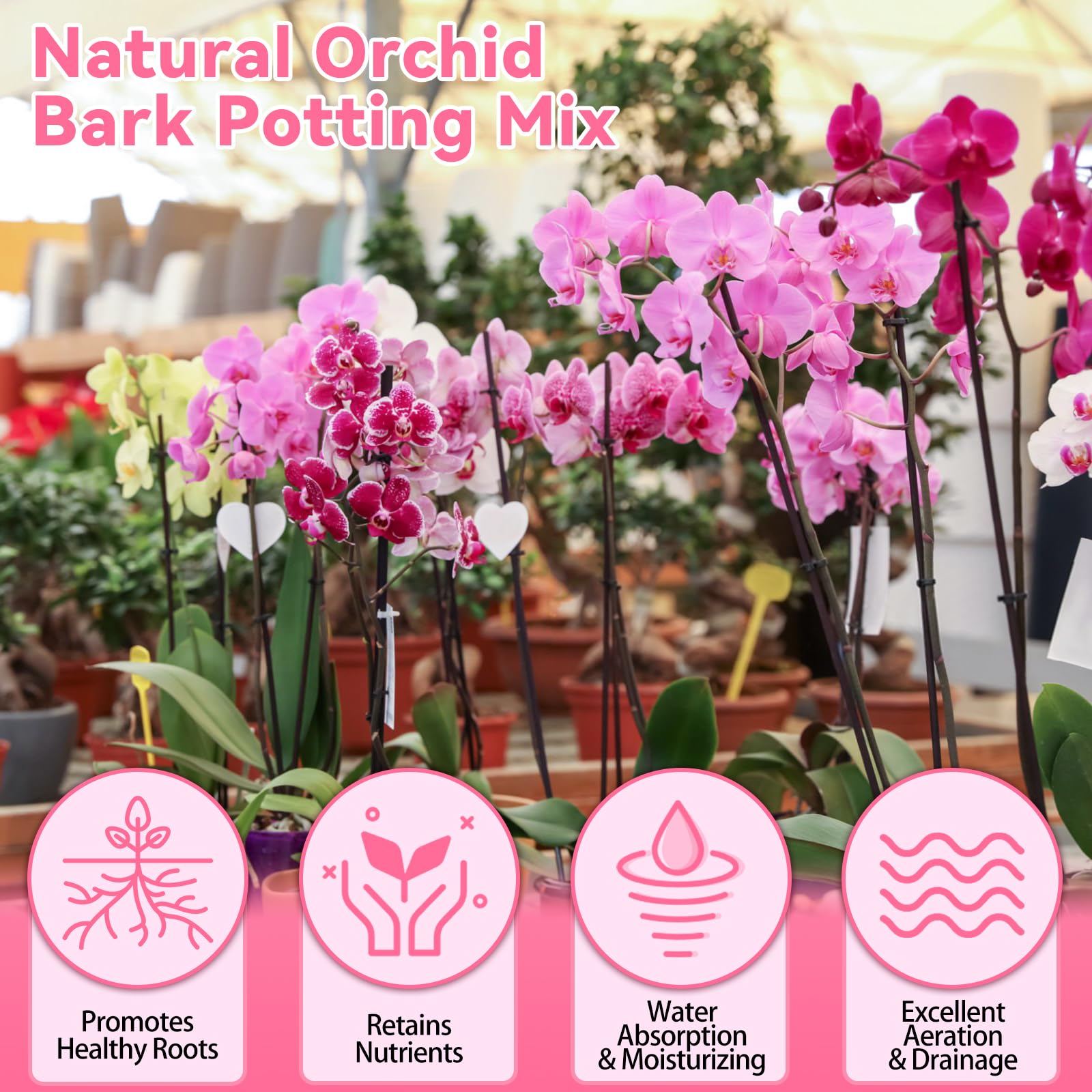 Riare pine bark and perlite support healthy root growth and easy transplanting.