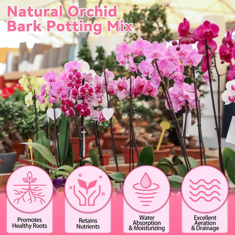 Riare pine bark and perlite support healthy root growth and easy transplanting.