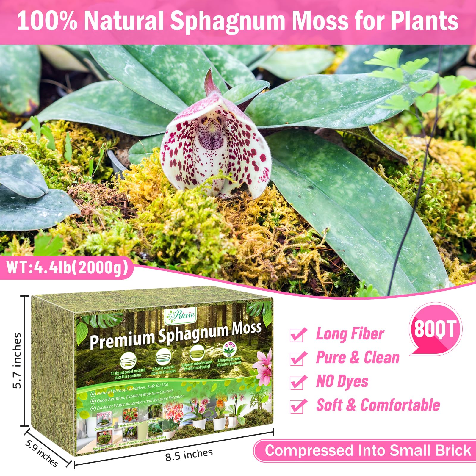 Riare sphagnum moss expands to a soft fluffy texture suitable for orchids repotting