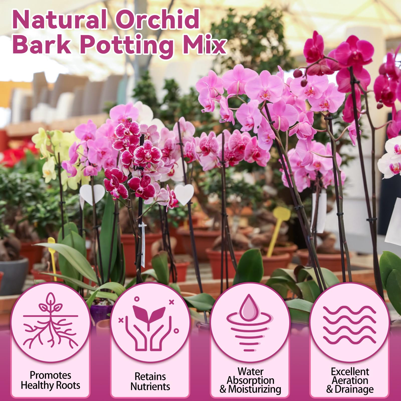Riare ready-to-use orchid mix saves time during repotting.