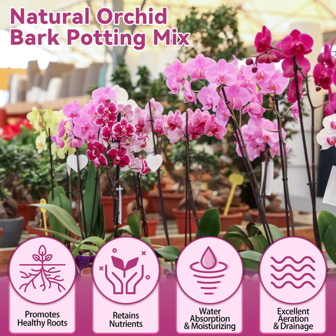 Riare ready-to-use orchid mix saves time during repotting.