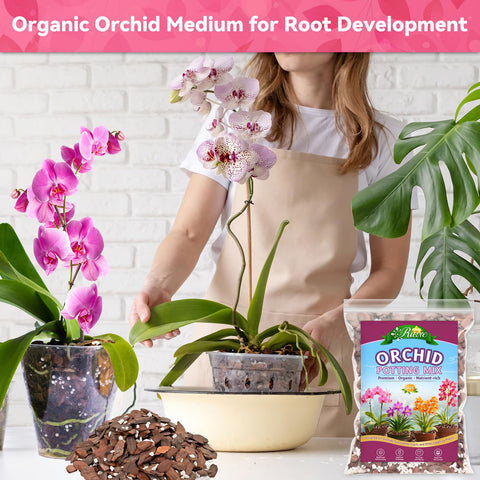 Riare orchid mix simplifies repotting with ready-to-use texture for quick care.