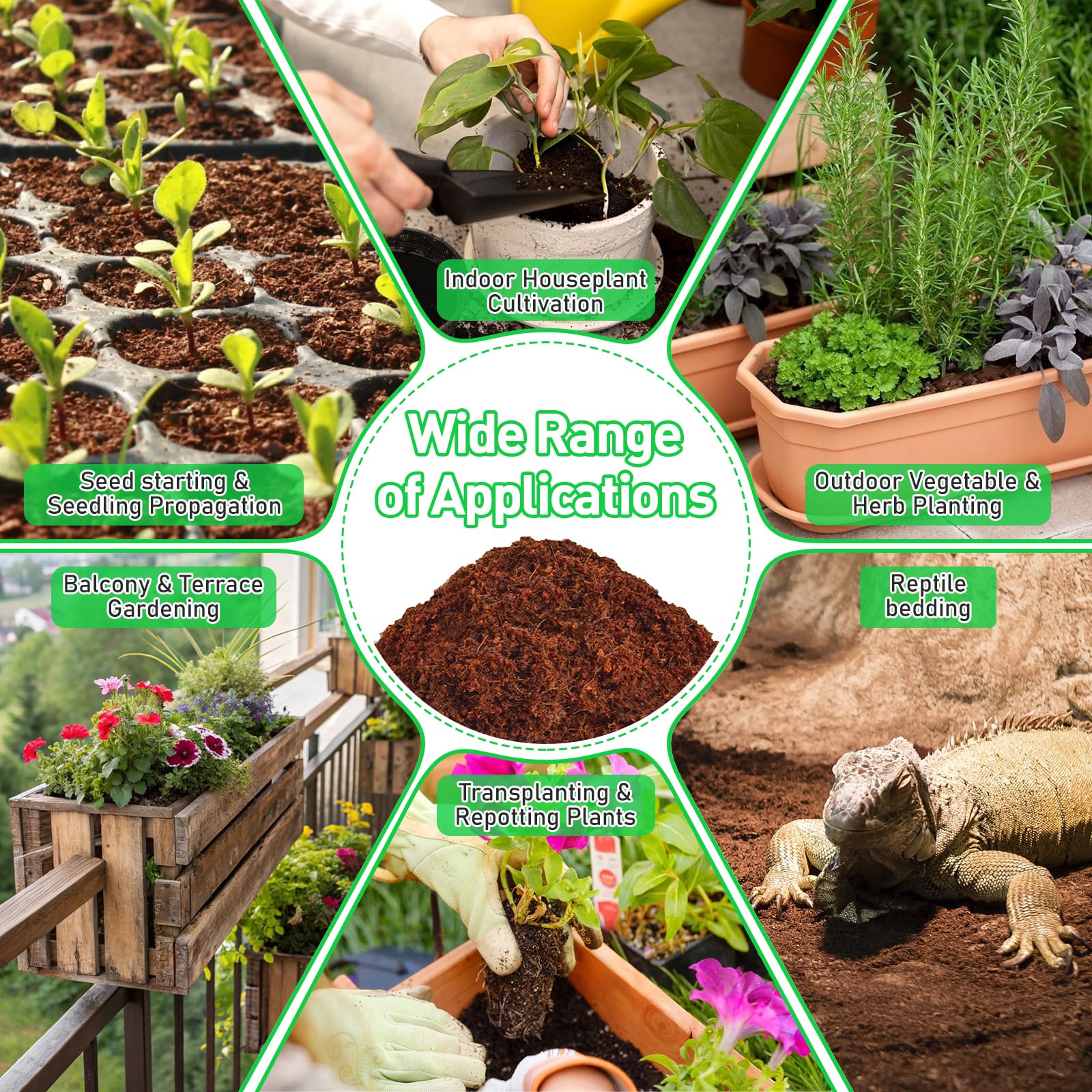 Riare versatile coco coir for vegetables, herbs, and indoor plants.