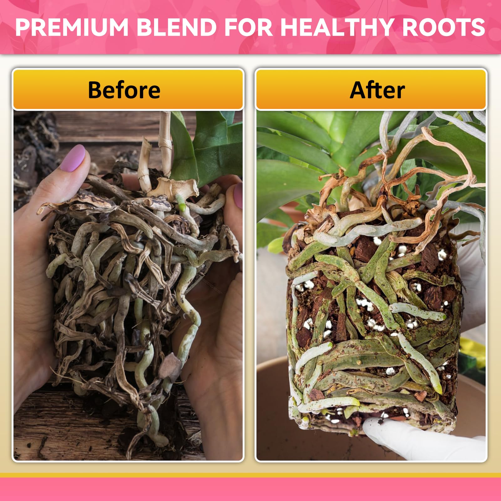 Riare resealable bag keeps orchid potting mix fresh for future repotting sessions.