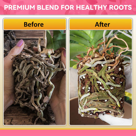 Riare resealable bag keeps orchid potting mix fresh for future repotting sessions.