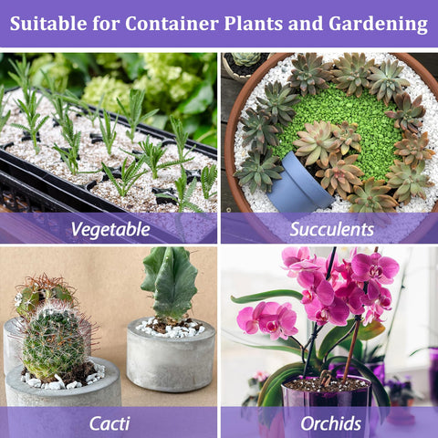 Riare rooftop garden perlite improves drainage in planters