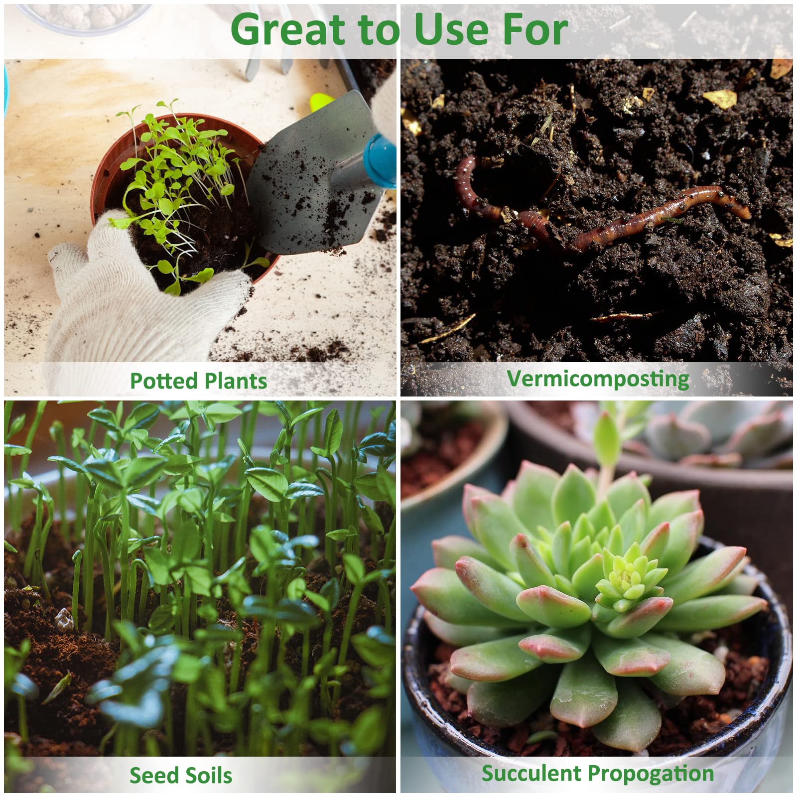 Riare seed germination with coco coir mix supports easy seedling start