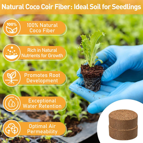 Riare coco coir pellet seed-starting tray setup aids uniform germination.