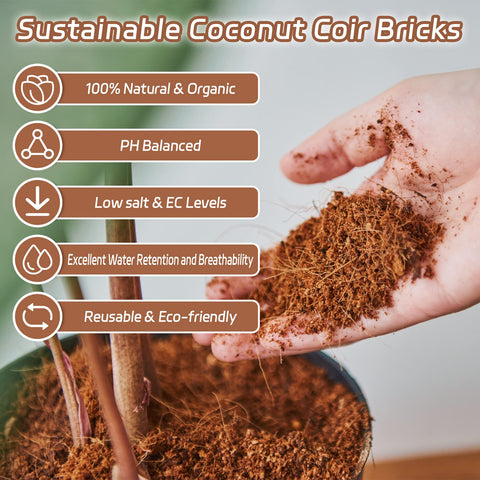 Riare seedling nursery with coco coir bricks for gentle starts